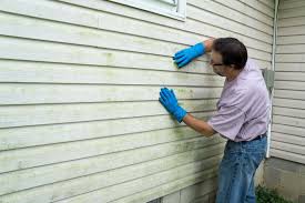 Affordable Siding Repair and Maintenance Services in Dove Valley, CO